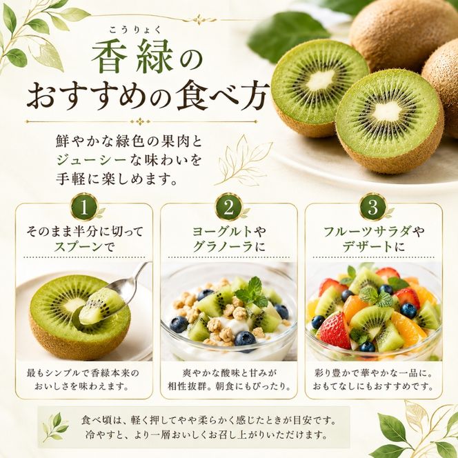 香川オリジナルキウイフルーツ「香緑（こうりょく）」約3kg 果物類 果物詰合せ 