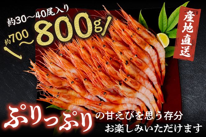【兵庫県香住産 刺身用 甘えび 約700～800g 冷凍】 国産 海老 エビ えび 甘エビ 山陰 赤い宝石 おかず 刺身 唐揚げ 味噌汁 海鮮 丼 お酒 酒 おつまみ 人気 大人気 ランキング ふるさと納税 おすすめ 返礼品 兵庫県 香美町 香住 柴山 宿院商店 33-04