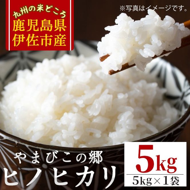 isa816 特別栽培ヒノヒカリ(5kg・5kg×1袋) 鹿児島 お米 米 白米 精米 伊佐米 ひのひかり 【やまびこの郷】