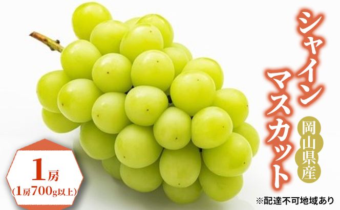 ぶどう 2026年 先行予約 シャイン マスカット 1房（1房700g以上）化粧箱入り  ブドウ 葡萄  岡山県産 国産 フルーツ 果物 ギフト 果物類 シャインマスカット 