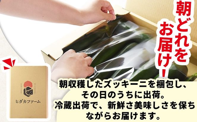 ★予約受付★＜野菜ソムリエサミット銀賞受賞！ あなたにズッキーニ約2kg（10本）＞2025年10月から順次出荷【 野菜 青果 国産 生食 輪切り ソテー サラダ 天ぷら ラタトゥイユ 】【b0915_hf】