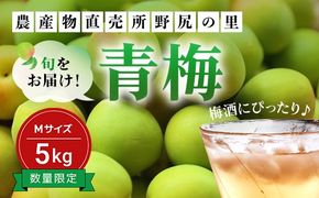 【2026年発送分先行予約】旬をお届け！青梅【Mサイズ５㎏】 ANAR017