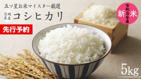 【 先行予約 】 《令和8年産》茨城県産 コシヒカリ 5kg ( 5kg × 1袋 ) 期間限定 こしひかり 米 コメ こめ 五ツ星 高品質 白米 精米 時短 単一米