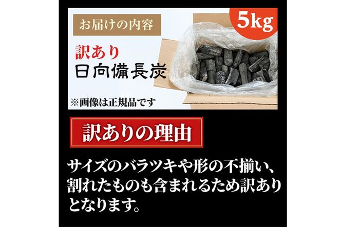 ＜訳あり＞ 日向備長炭(5kg) アウトドア キャンプ用品 BBQ バーベキュー 木炭 国産【IK-4】【池田製炭所】