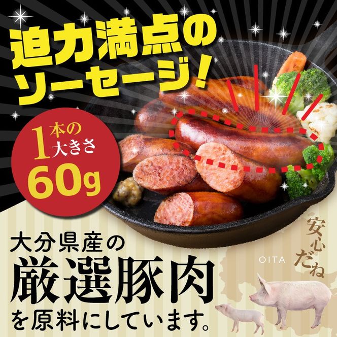 極太でジューシー！粗挽きフランクフルトソーセージ0.9kg _0098N-2