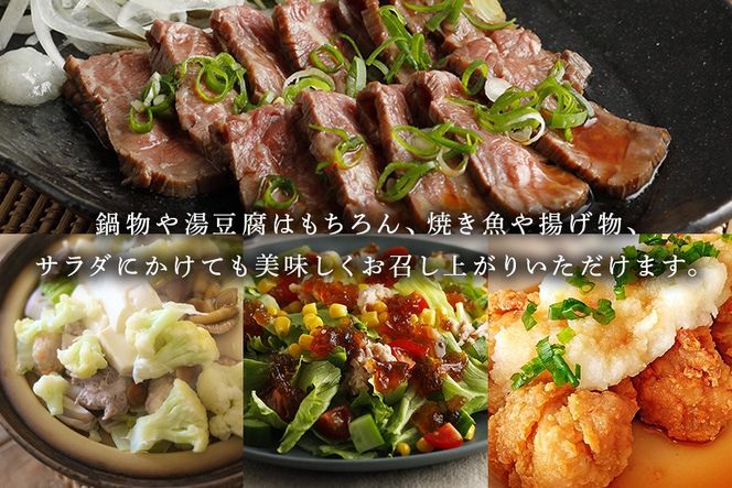 酢 内堀醸造 美濃特選味付ぽん酢セット 360ml×6本 312