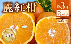 BF6063_【2027年先行受付】麗紅柑 (れいこう) 青秀品 (家庭用) 2S～3Lサイズ 3kg 和歌山有田産