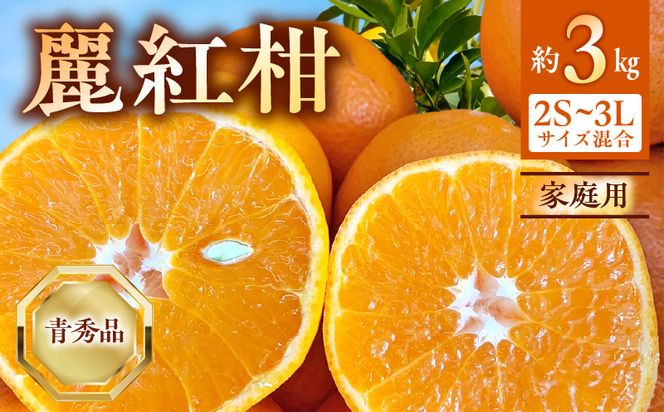 BF6063_【2027年先行受付】麗紅柑 (れいこう) 青秀品 (家庭用) 2S～3Lサイズ 3kg 和歌山有田産