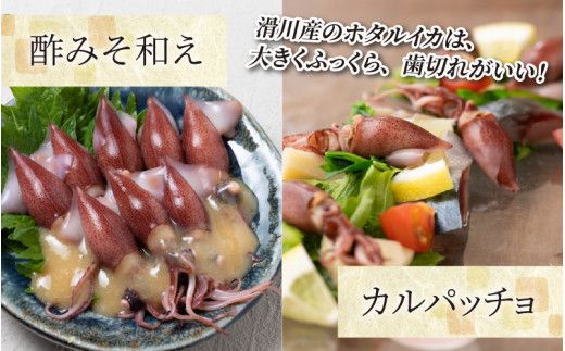 【先行予約】ほたるいか ボイル＆刺身セット【27年3月中旬以降順次発送】カネツル砂子商店【冷蔵 ホタルイカ 旬 朝どれ おつまみ 期間限定 海鮮 ボイル 刺身 ほたるいか 蛍烏賊 ボイルほたるいか 富山県 富山 富山県産 魚介類 いか イカ 】