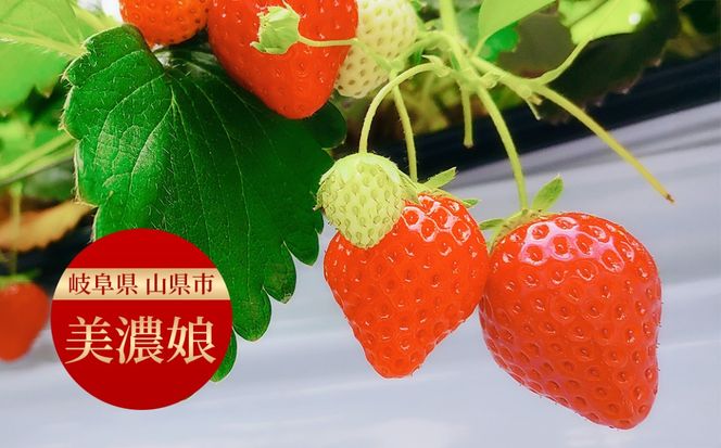 美濃娘のバターサンド 1箱 10個入り  [No.1150]