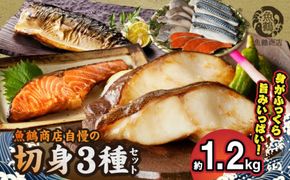 G7338_銀だら 銀鮭 切身 各 4切 塩さば フィレ 4枚 真空パック 小分け 良質な脂 ふっくら 柔らかい 梅酒 北海道南産 真こんぶ だし漬け お弁当 おかず お茶漬け ムニエル フライ 焼き物 煮魚 冷凍 お取り寄せ 和歌山県 湯浅町 送料無料