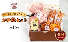 デリカテッセンヌチブタ　バラエティ詰め合わせ【お手軽セット】約1kg NUCHIBUTA 豚肉 加工品 ハンバーグ ポーク 詰め合わせ バラエティ おつまみ おかず 肉 猪豚 グルメ 手作り アウトドア バーベキュー キャンプ飯 冷凍 国産 沖縄県産 沖縄市