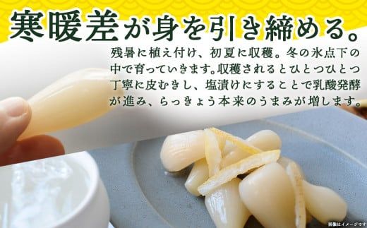 【お試し♪】日向夏らっきょう 90g×3袋≪みやこんじょ特急便≫ ※ポスト投函_LA-C401-PF-Q_らっきょう おつまみ 柑橘風味 さっぱり