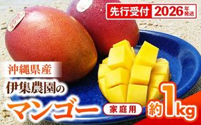 【先行受付】【2026年発送】伊集農園  沖縄県産マンゴー ご家庭用 約1kg - 先行予約 沖縄 産地直送 南国フルーツ 旬の味覚 家庭用 1キロ オススメ 沖縄県 八重瀬町
