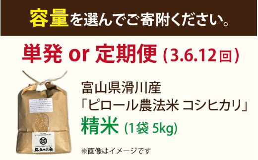 25年10月中旬以降順次発送　富山県滑川産 弱アルカリ性米「ピロール農法米 コシヒカリ」与文のお米（精米5kg）産地直送 袋 精米5kg おにぎり お米 白米 国産 ご飯 ごはん 富山県 滑川市 アグリめぐみ A-050002  アトピー 米