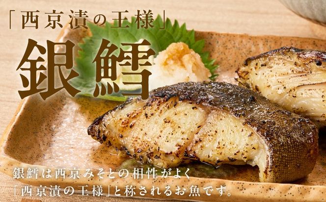 G5624 【定期便】銀鱈 西京漬け 80g×10切れ 全6回【小分け 熟成 銀だら ぎんだら ギンダラ 海産物 魚 惣菜 西京焼き 味噌 お酒のあて 訳あり サイズ不揃い 切り落とし】