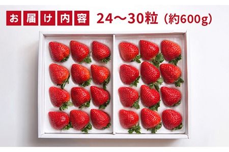 【先行予約】糸島産 あまおう ギフト 箱 ( 24-30粒 ) 【2024年12月上旬以降順次発送】 《糸島》【南国フルーツ株式会社】