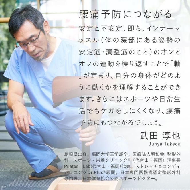 椅子 バランスシナジー カバーなし 選べる シート カラー 腰痛対策椅子 腰痛対策 家具