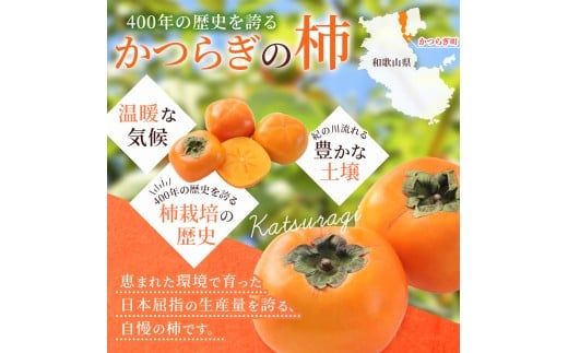 先行予約 富有柿 赤秀品大玉6個～8個入 こだわり農家厳選【2026年10月末から11月末頃順次発送】 / 柿 フルーツ 果物 かき 和歌山 かつらぎ 農家直送 贈答【kgr043】