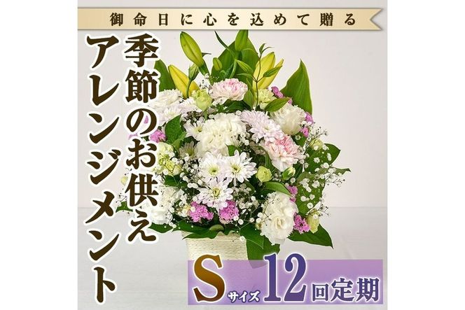 y{茧쒬zցE12(A)G߂̂pAWg(ԁFSTCY)  ԑ t[ A      @ 蕨yFM-22zyt[Vbv܂z