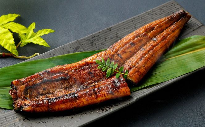 ＜職人手焼き九州産うなぎ 蒲焼き1尾（2切れ）計130g前後＞翌月末迄に順次出荷【c691_sk_x2】