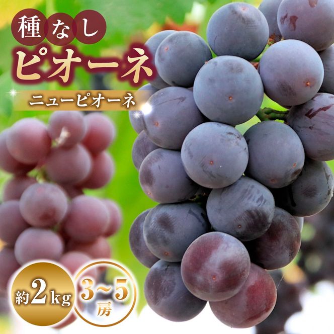 大粒・種なし ピオーネ（ニューピオーネ）2kg ぶどう 葡萄 フルーツ