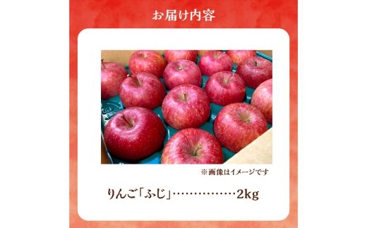 【先行予約：2026年12月上旬より発送】りんご（ふじ）2kg【北海道余市町産】_Y103-0077