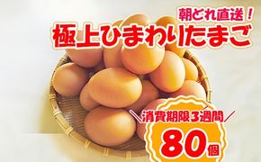 B1811極上ひまわりたまご（２段）※破卵補償10個含 卵 鶏卵 玉子