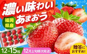 【2025年12月上旬より順次発送】 福岡産 あまおう ギフト箱（12-15粒）《築上町》【南国フルーツ株式会社】 果物 苺 いちご[ABET003]