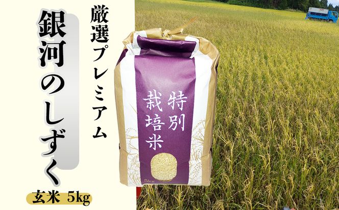 ＜令和8年産予約受付＞銀河のしずく厳選プレミアム 玄米5kg 【2232】