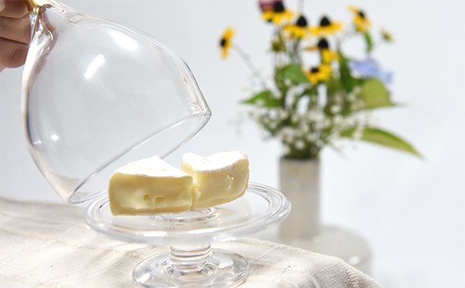 Glass dome -S- 工芸品 食器 