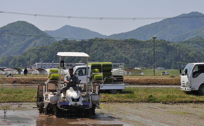 新米 令和8年度産 但馬産 コシヒカリ出石渓流米 5kg ～若手生産者限定・応援プロジェクト～/ お米 こしひかり 5キロ 兵庫県 但馬 出石 米 白米 精米 コメ こめ ご飯 ごはん ライス