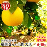 【先行予約】楠瀬さんの土佐文旦 家庭用 約3.5kg サイズ混合 高知 土佐 文旦 ぶんたん ブンタン 柑橘 みかん 果物 3.5キロ 6～10玉 フルーツ 旬 不揃い ご自宅用 常温【まる庄果樹園】〈2027年2月15日～2027年4月5日発送〉 [BQAF022]