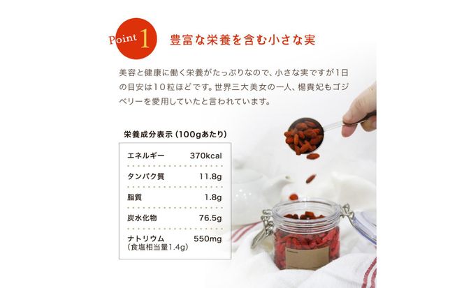 ゴジベリー(クコの実)500g×2袋 【kw0090-0021】