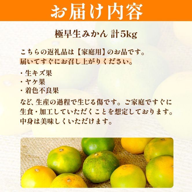 【先行予約】浅野農園の極早生みかん 家庭用5kg ※離島への配送不可（2026年10月上旬～11月中旬頃より順次発送予定）IKTAC012