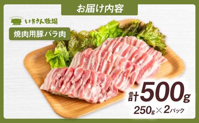 一貴山豚 焼肉用バラ肉 計500g(250g×2p) 糸島市 / いきさん牧場 豚肉 冷凍[AGB034] 豚肉 豚 ブランド豚 一貴山豚 ポーク バラ 豚バラ 脂身 小分け