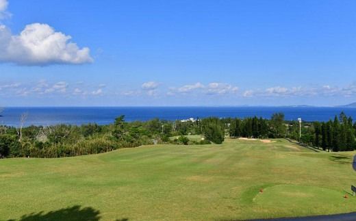 チケット 平日限定 ゴルフプレー券 3名 (恩納村・1ラウンド )【美らオーチャードゴルフ倶楽部】