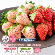 淡路島アイランドベリー　紅白いちご　淡雪/とちおとめ 2～4パック入【2027年3月発送予約受付・お届け日指定不可】　いちご