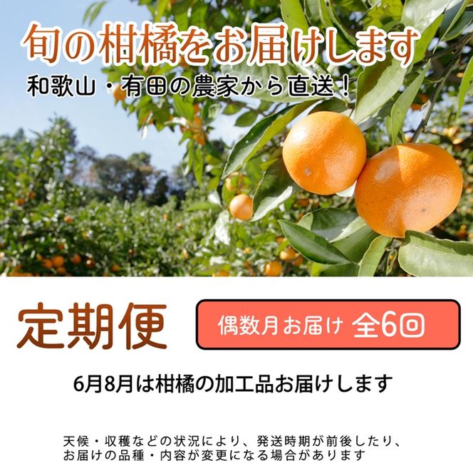 【定期便】家庭用 柑橘定期便 M 6回（偶数月）※北海道・沖縄・離島への配送不可※偶数月に発送