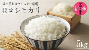 《 令和7年産 》 茨城県産 コシヒカリ 5kg ( 5kg × 1袋 )  期間限定 こしひかり 米 コメ こめ 五ツ星 高品質 白米 精米 時短 単一米 [AC039us]