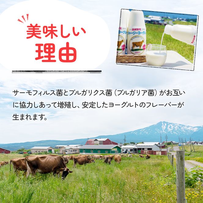 土田牧場 のむヨーグルト 900ml×1本 「ジャージーヨーグルト」（飲む ヨーグルト 健康 栄養 豊富） 乳飲料 ドリンク 乳酸菌 乳製品 ジャージー牛乳 