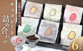 京都丹波産大豆 チョコレート 詰め合わせセット 50g×6種　チョコレート 丹波産 大豆 詰め合わせ セット 食べ比べ お菓子 スイーツ おやつ チョコレート菓子 贈り物 ギフト ご褒美 京都府 南丹市