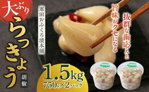 【8月発送予約】らっきょう 1.5kg（こしょう）　《築上町》【寒田おふくろ漬本舗】[ABDO003]