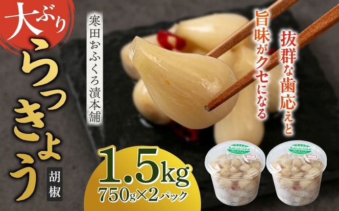 【8月発送予約】らっきょう 1.5kg（こしょう）　《築上町》【寒田おふくろ漬本舗】[ABDO003]