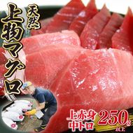 天然 マグロ 2種 250g 以上 刺身 上物 まぐろ 鮪 赤身 中トロ 冷凍 静岡県 藤枝市