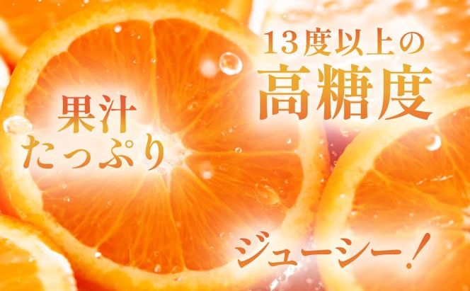 デコポン 約5kg D-669-RN