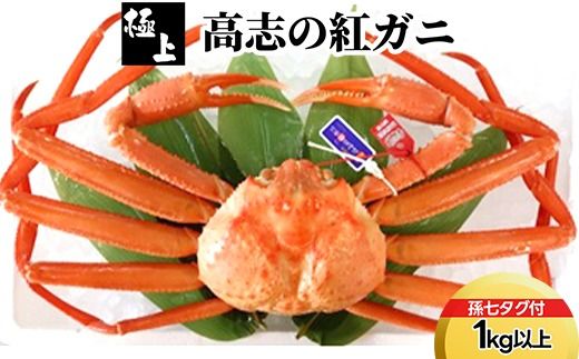 【極上】高志の紅ガニ1kg以上（孫七タグ付） ※2025年9月中旬～2026年3月下旬頃に順次発送予定