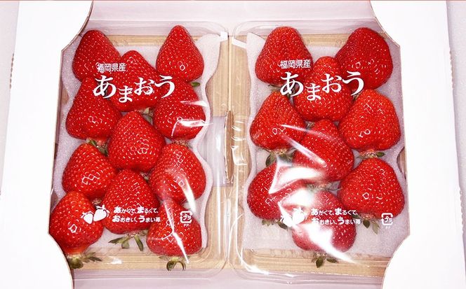 渡邉農園の採れたてあまおう 280g×2パック 合計560g いちご イチゴ フルーツ くだもの 福岡県産 【2026年1月下旬-4月下旬迄順次発送予定】