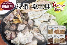 ＜特撰 炭火焼塩三昧 6パックセット＞翌月末までに順次出荷【a0014_mj_x2】