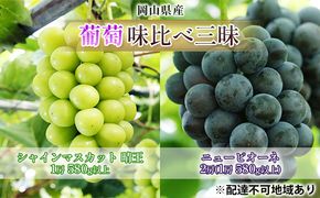 ぶどう 2026年 先行予約 葡萄 味比べ三昧 シャイン マスカット  晴王 1房 580g以上 ニュー ピオーネ  2房（1房 580g以上）（ハウス栽培）詰合せ ブドウ 葡萄  岡山県産 国産 フルーツ 果物 ギフト 